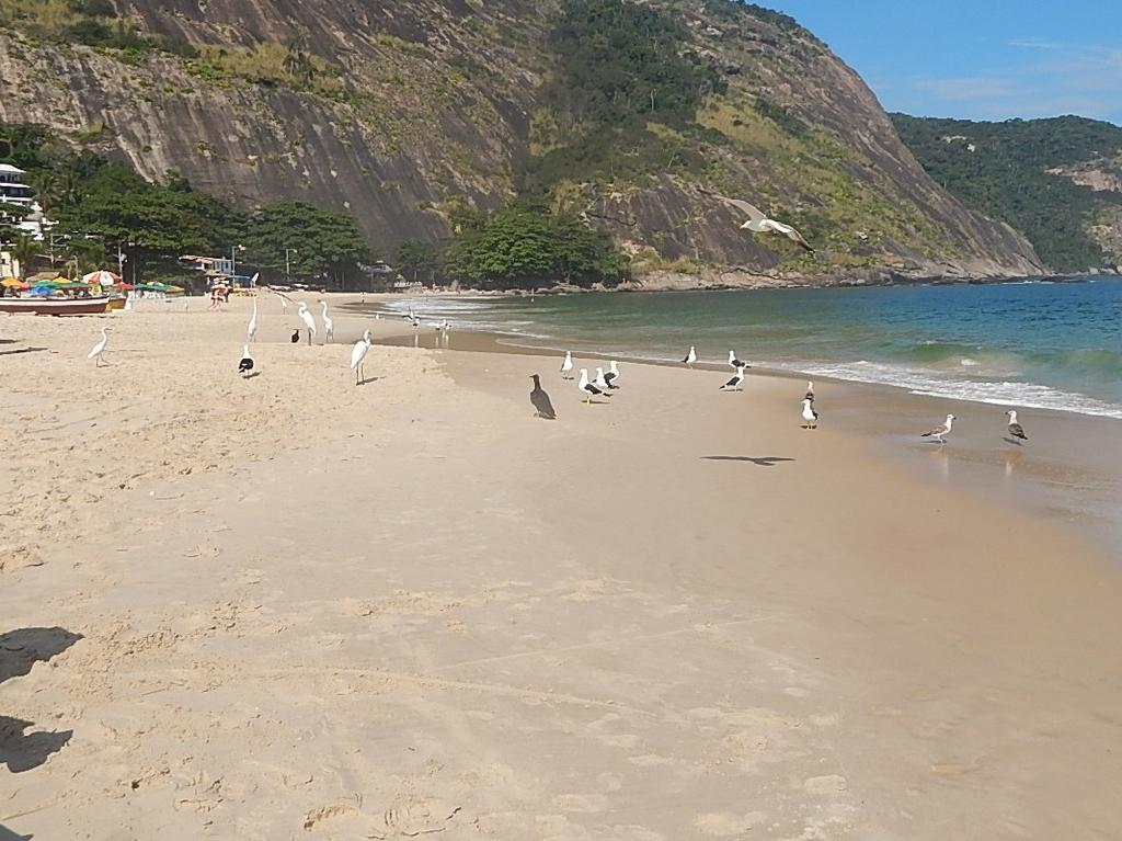 Nino'S Apartment Niterói Екстериор снимка
